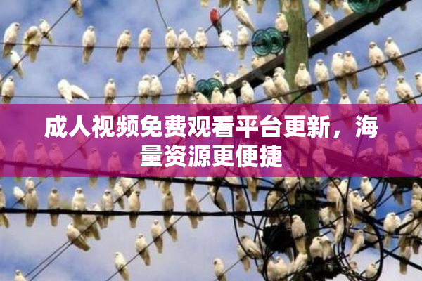 成人视频免费观看平台更新，海量资源更便捷