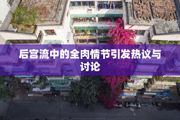 后宫流中的全肉情节引发热议与讨论