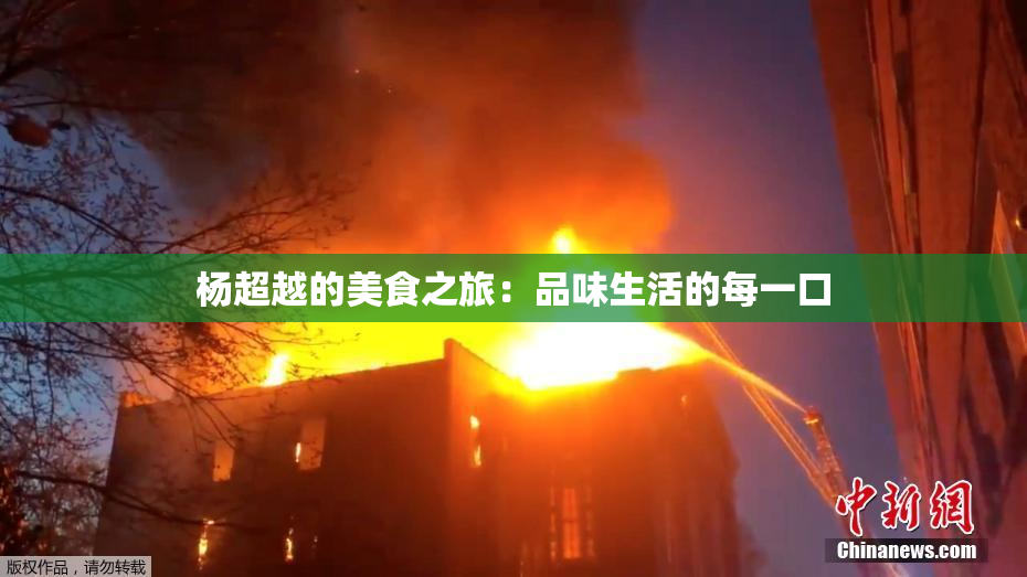 杨超越的美食之旅：品味生活的每一口