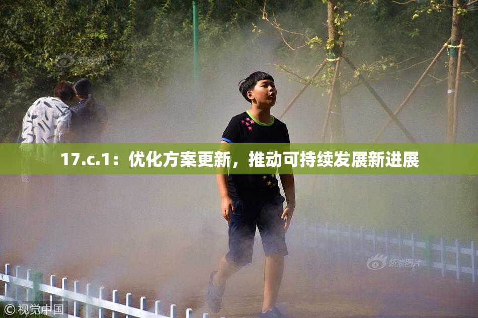 17.c.1：优化方案更新，推动可持续发展新进展