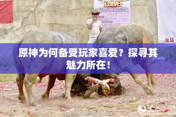 原神为何备受玩家喜爱？探寻其魅力所在！