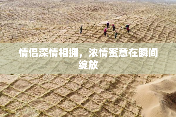 情侣深情相拥，浓情蜜意在瞬间绽放