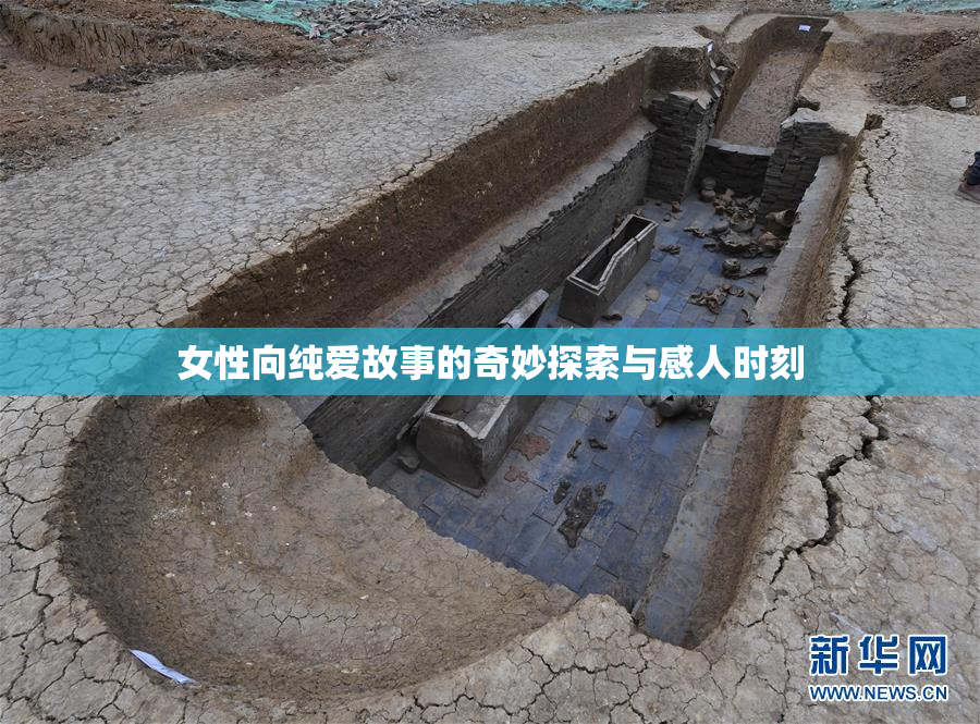 女性向纯爱故事的奇妙探索与感人时刻