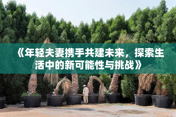 《年轻夫妻携手共建未来，探索生活中的新可能性与挑战》