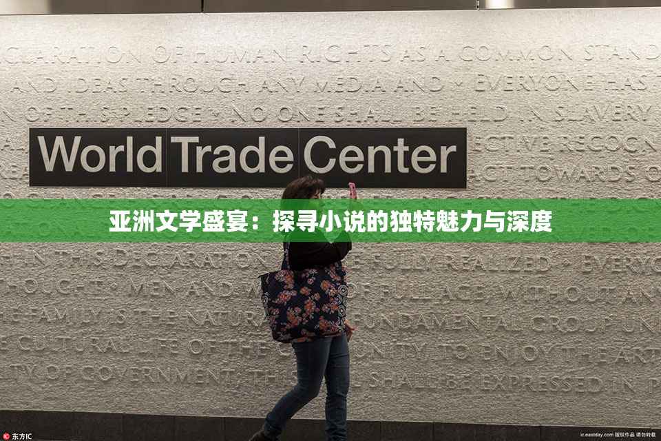 亚洲文学盛宴：探寻小说的独特魅力与深度