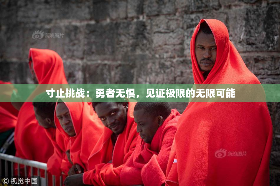 寸止挑战：勇者无惧，见证极限的无限可能