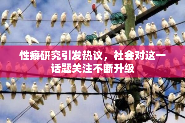 性癖研究引发热议，社会对这一话题关注不断升级
