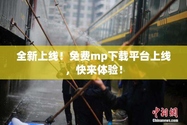 全新上线！免费mp下载平台上线，快来体验！