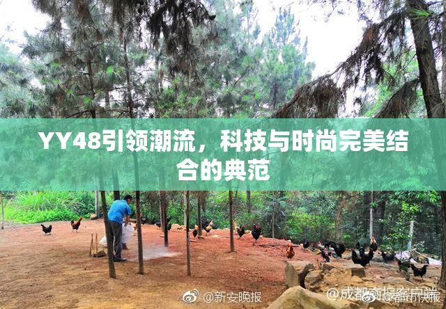 YY48引领潮流，科技与时尚完美结合的典范