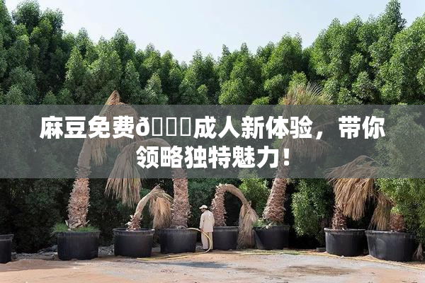 麻豆免费🔞成人新体验，带你领略独特魅力！