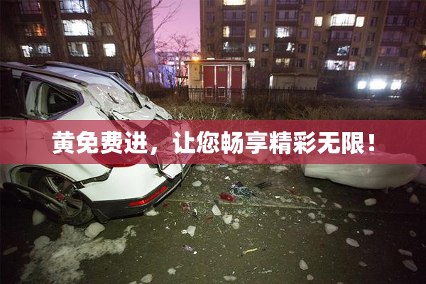 黄免费进，让您畅享精彩无限！