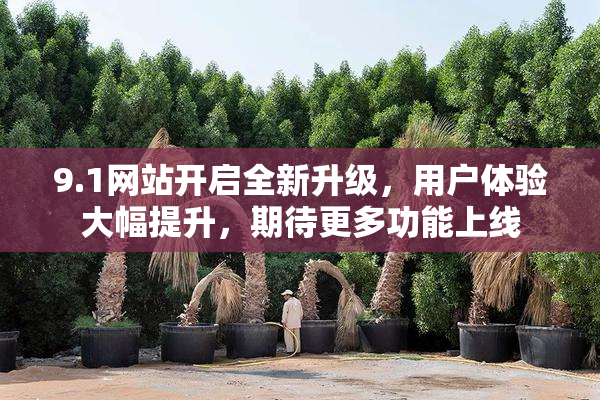 9.1网站开启全新升级，用户体验大幅提升，期待更多功能上线