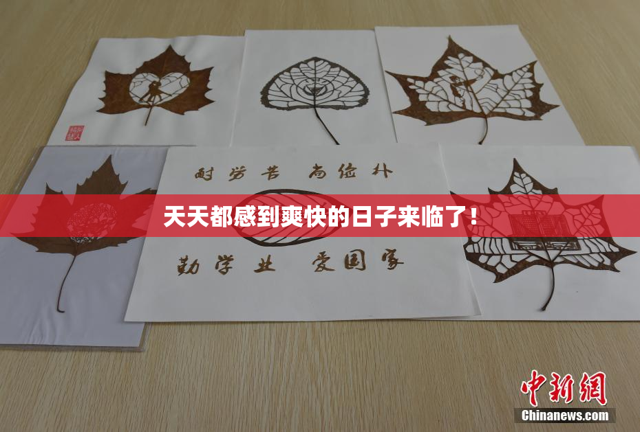 天天都感到爽快的日子来临了！