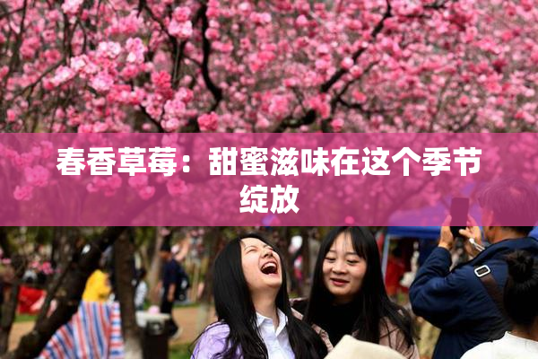 春香草莓：甜蜜滋味在这个季节绽放