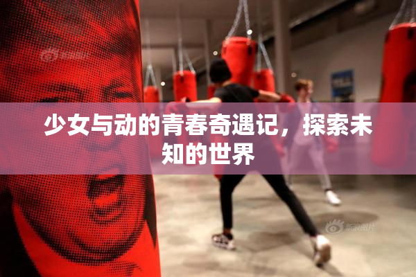 少女与动的青春奇遇记，探索未知的世界