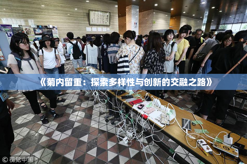 《菊内留重：探索多样性与创新的交融之路》
