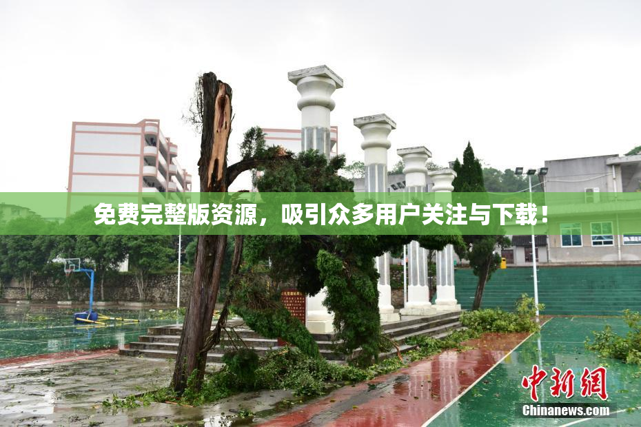 免费完整版资源，吸引众多用户关注与下载！