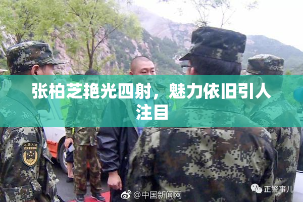 张柏芝艳光四射，魅力依旧引人注目