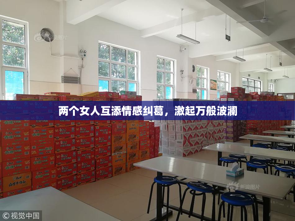 两个女人互添情感纠葛，激起万般波澜