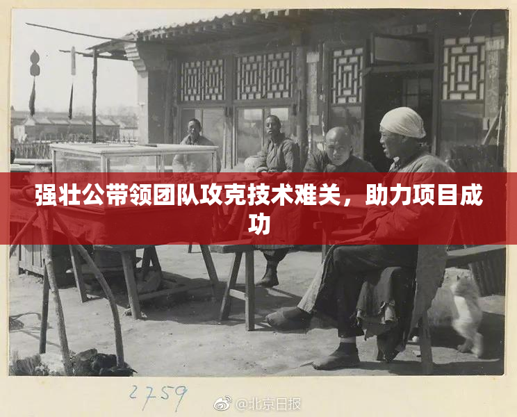 强壮公带领团队攻克技术难关，助力项目成功