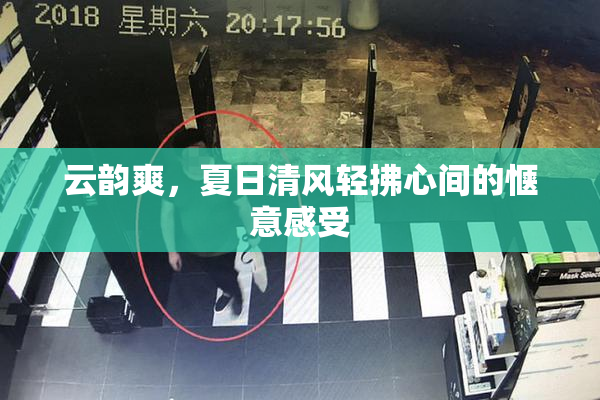 云韵爽，夏日清风轻拂心间的惬意感受