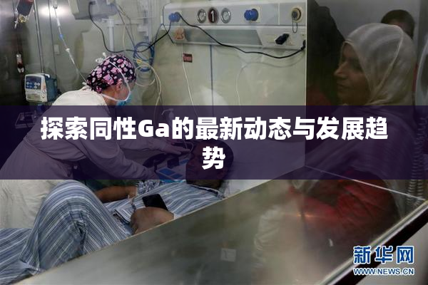 探索同性Ga的最新动态与发展趋势