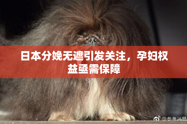 日本分娩无遮引发关注，孕妇权益亟需保障