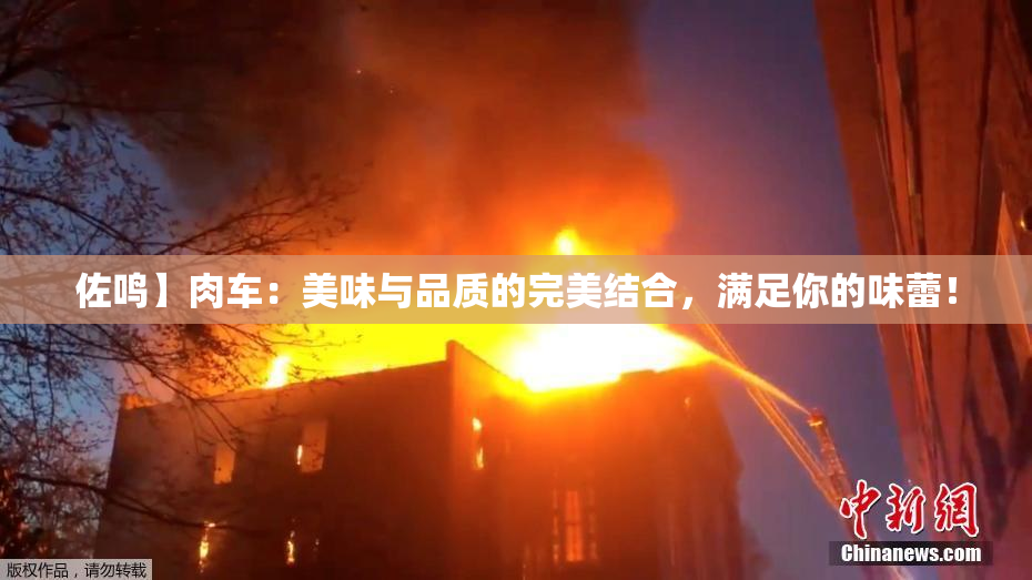佐鸣】肉车：美味与品质的完美结合，满足你的味蕾！