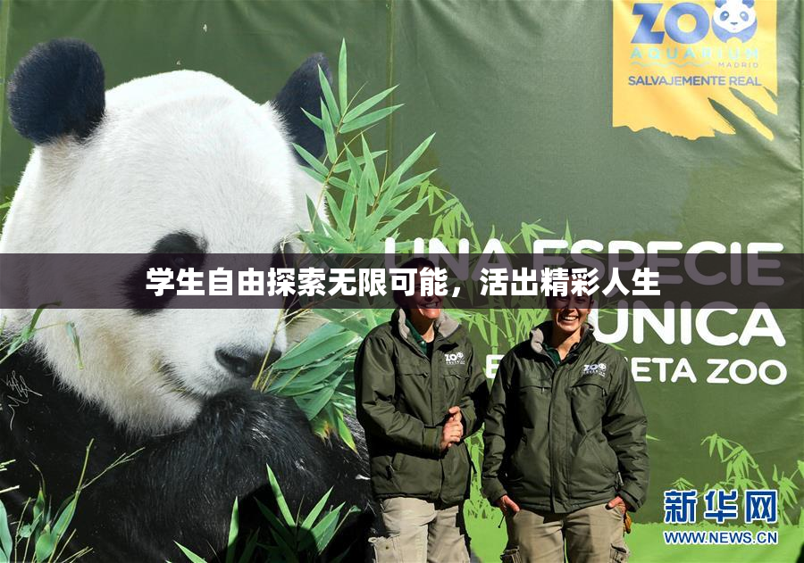 学生自由探索无限可能，活出精彩人生