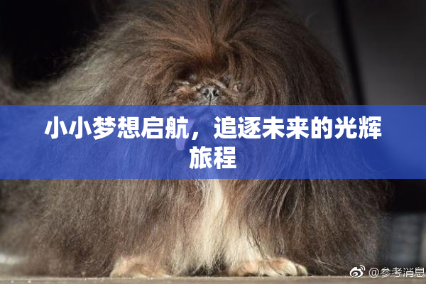小小梦想启航，追逐未来的光辉旅程