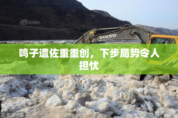 鸣子遭佐重重创，下步局势令人担忧