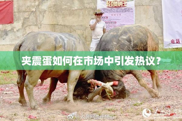 夹震蛋如何在市场中引发热议？
