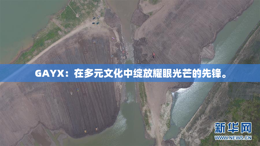 GAYX：在多元文化中绽放耀眼光芒的先锋。