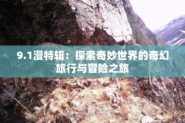 9.1漫特辑：探索奇妙世界的奇幻旅行与冒险之旅