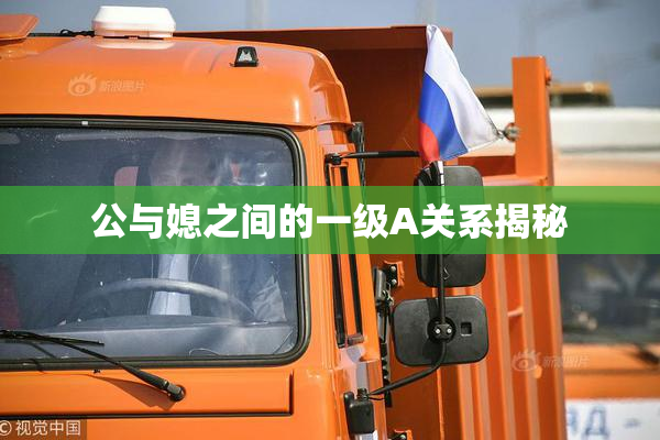 公与媳之间的一级A关系揭秘
