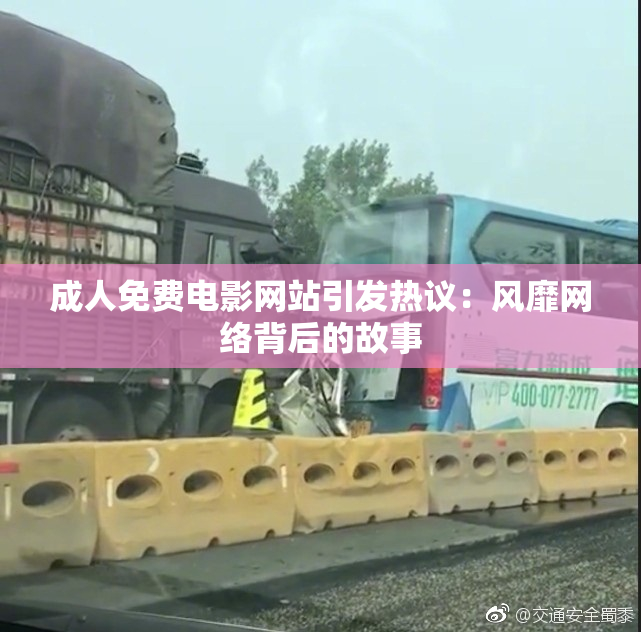 成人免费电影网站引发热议：风靡网络背后的故事