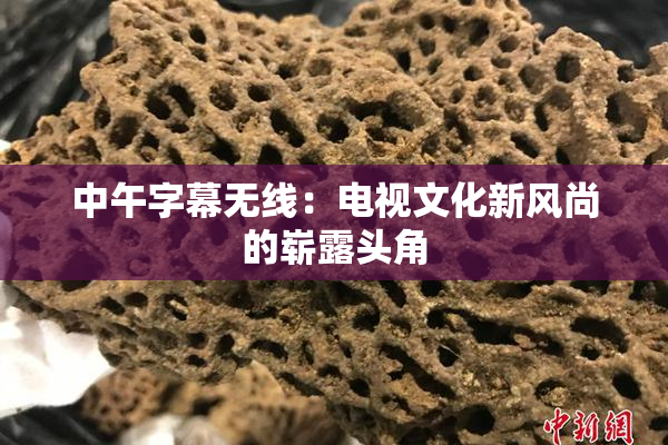 中午字幕无线：电视文化新风尚的崭露头角