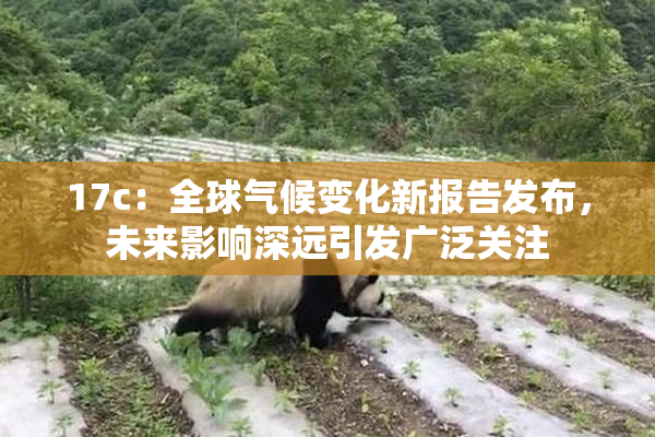 17c：全球气候变化新报告发布，未来影响深远引发广泛关注