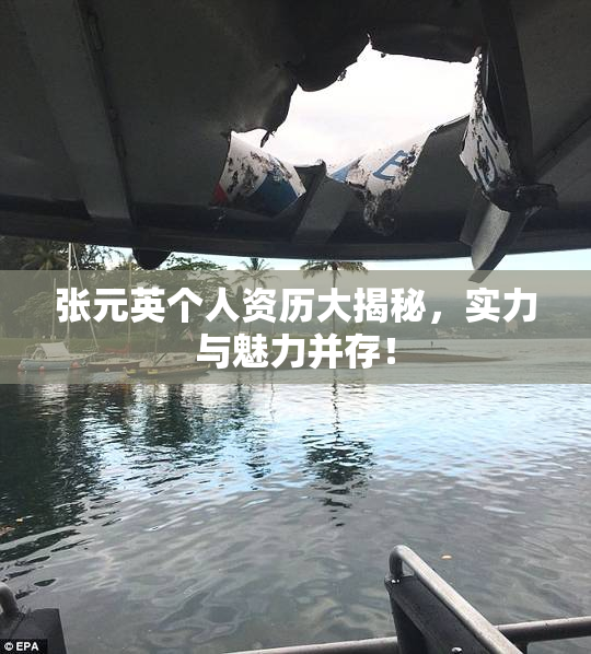 张元英个人资历大揭秘，实力与魅力并存！