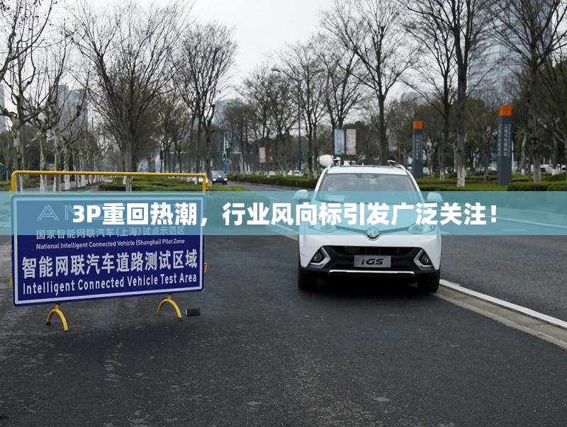 3P重回热潮，行业风向标引发广泛关注！
