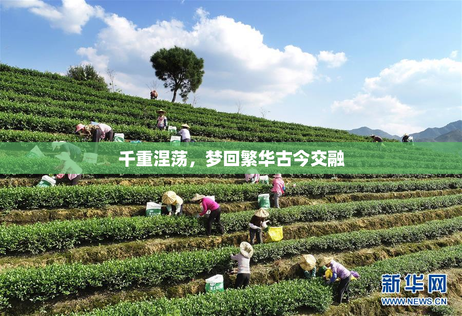 千重涅荡，梦回繁华古今交融
