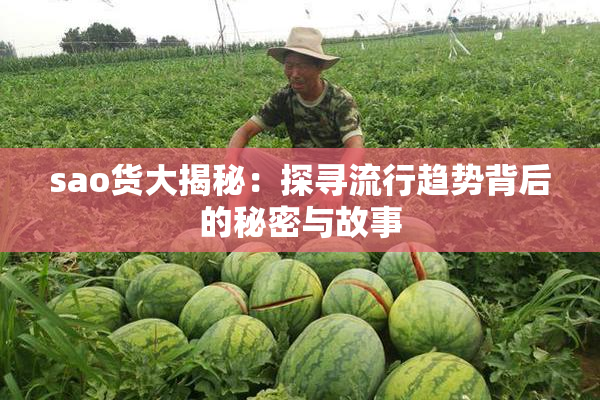 sao货大揭秘：探寻流行趋势背后的秘密与故事