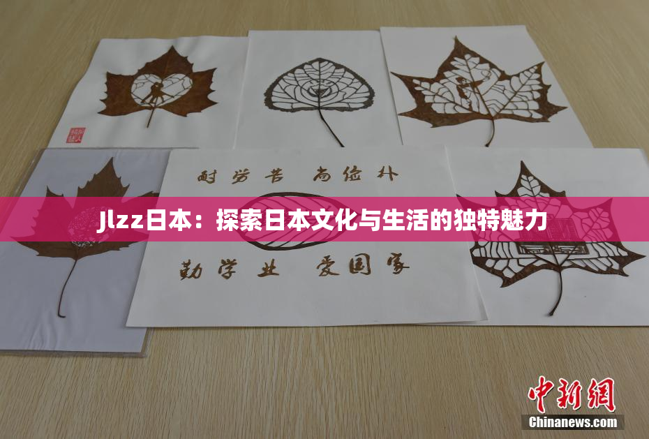 Jlzz日本：探索日本文化与生活的独特魅力