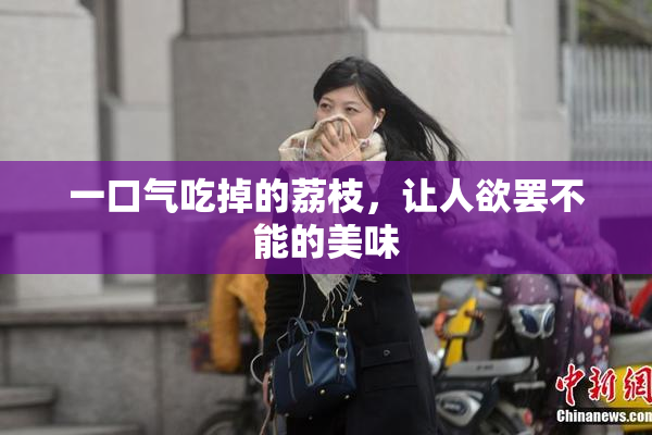 一口气吃掉的荔枝，让人欲罢不能的美味