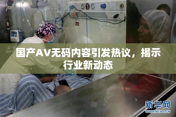 国产AV无码内容引发热议，揭示行业新动态