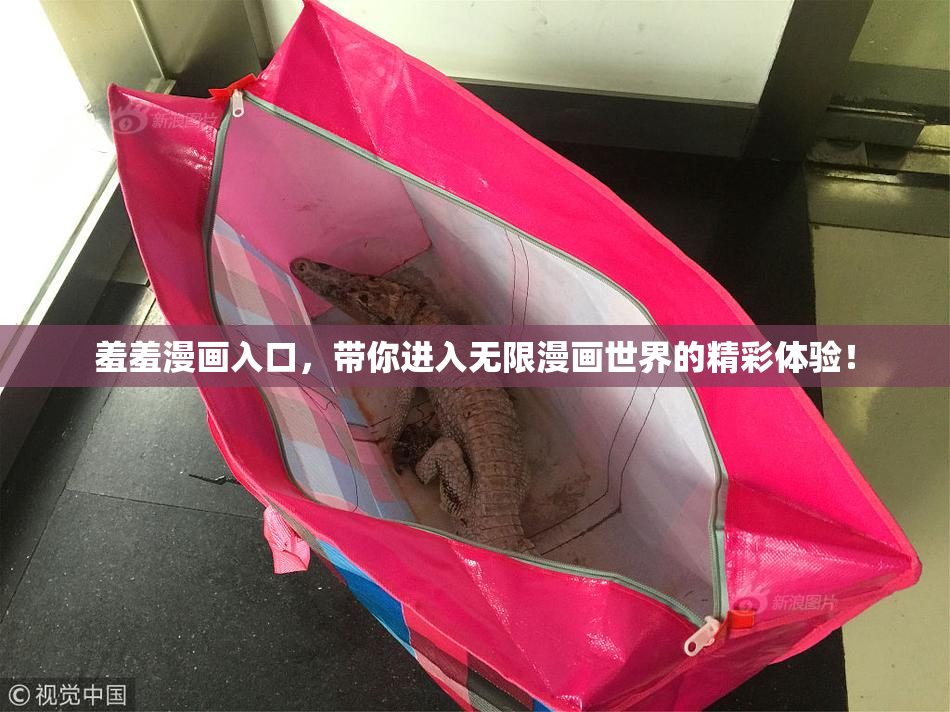 羞羞漫画入口，带你进入无限漫画世界的精彩体验！