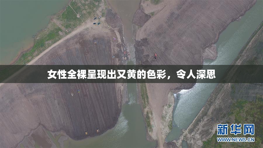 女性全裸呈现出又黄的色彩，令人深思