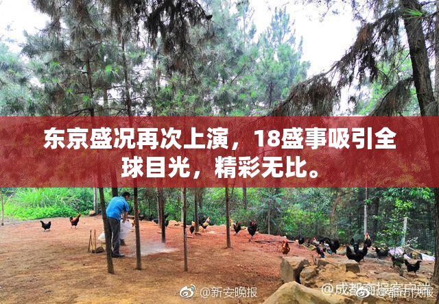 东京盛况再次上演，18盛事吸引全球目光，精彩无比。