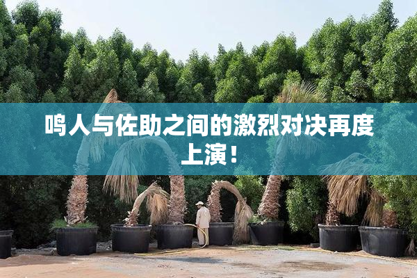 鸣人与佐助之间的激烈对决再度上演！