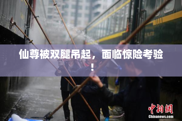 仙尊被双腿吊起，面临惊险考验！